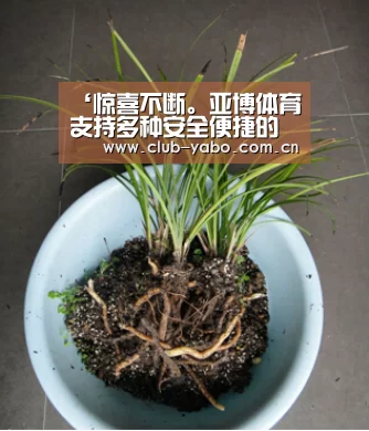 惊喜不断。亚博体育支持多种安全便捷的充值与提款方式