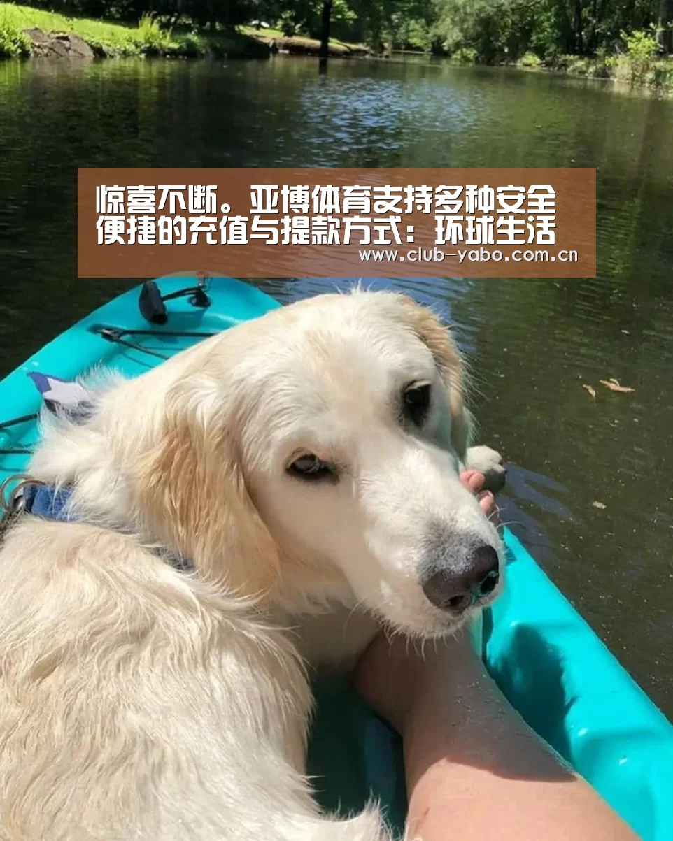 惊喜不断。亚博体育支持多种安全便捷的充值与提款方式