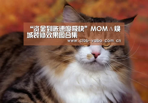 “资金到账速度极快”MOMΛ焕城装修效果图合集(图3) 亚博娱乐
