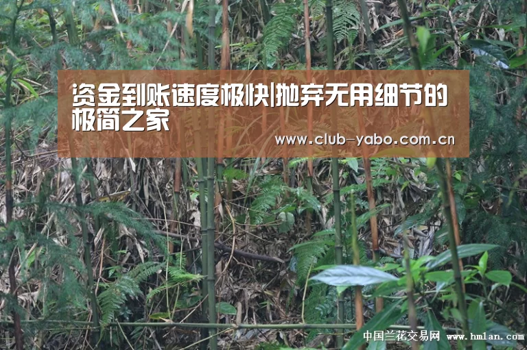 资金到账速度极快|抛弃无用细节的极简之家(图1) 亚博
