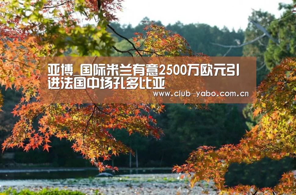 亚博_国际米兰有意2500万欧元引进法国中场孔多比亚(图2) 惊喜不断。亚博体育支持多种安全便捷的充值与提款方式