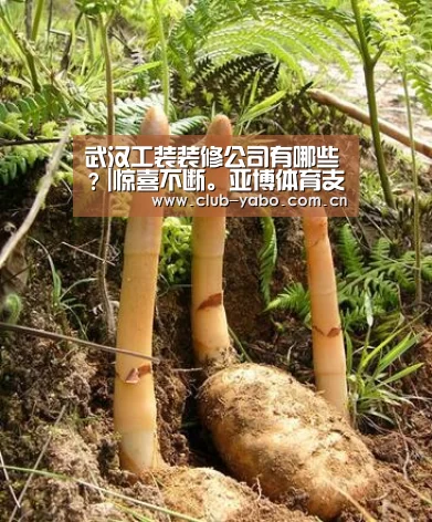 亚博